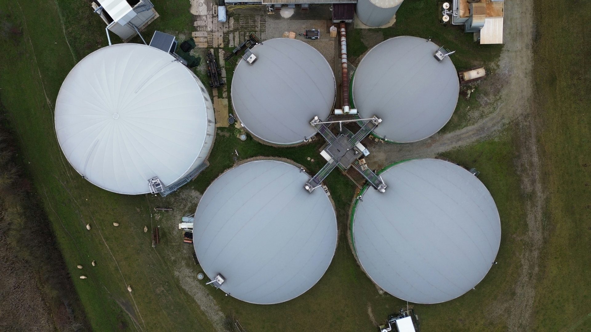 a group of large white tanks sitting on top of a lush green field